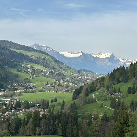 Chalet Saint Victor, Praz Sur Arly מראה חיצוני תמונה