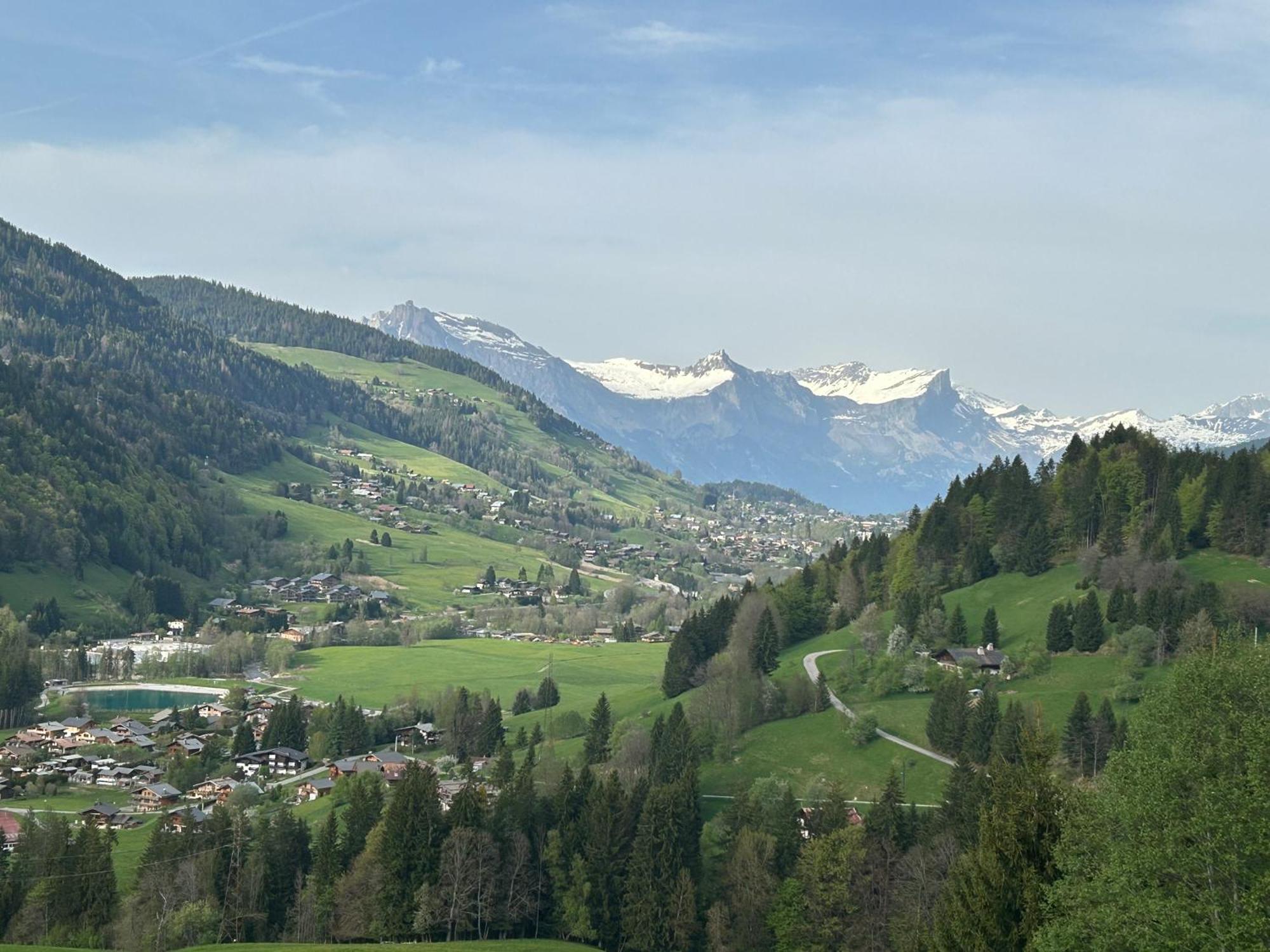 Chalet Saint Victor, Praz Sur Arly מראה חיצוני תמונה